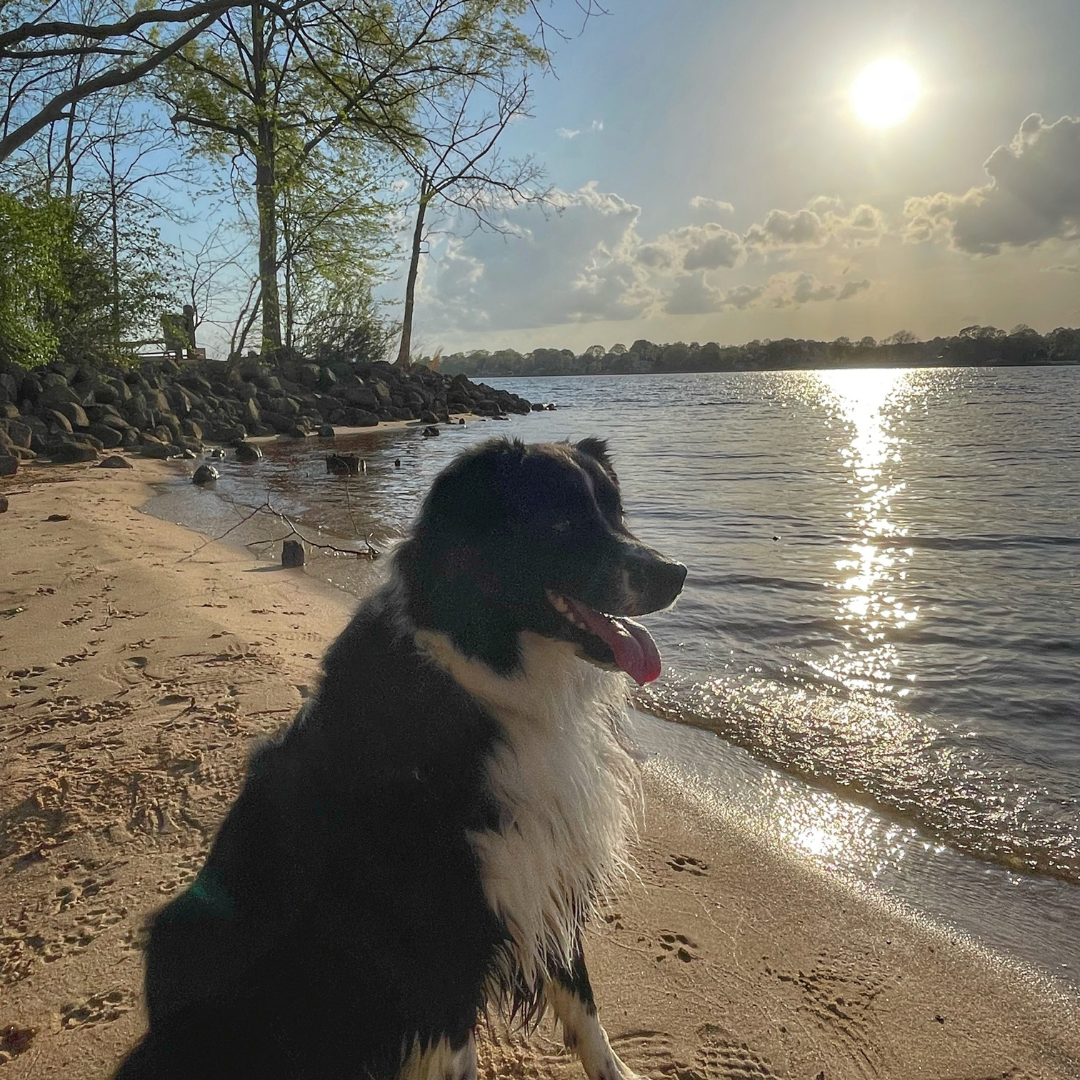 Logan’s Milo Wigglebutt